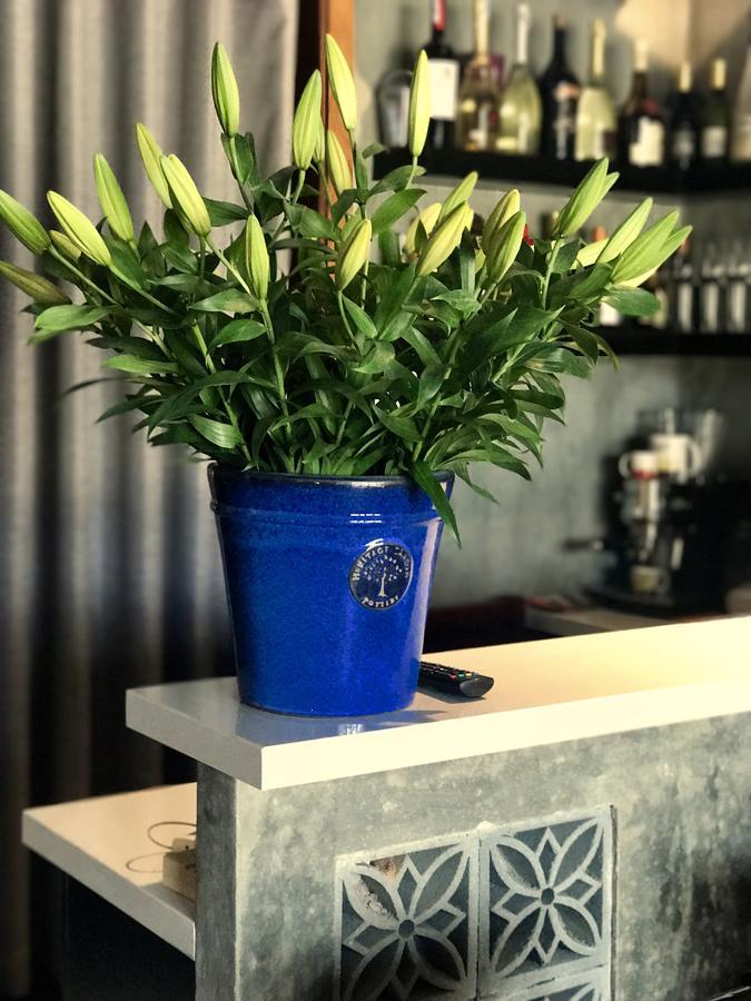Danang Moment - Boutique Serviced Apartment Dış mekan fotoğraf